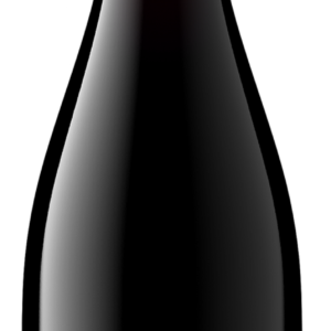 BUTTER PINOT NOIR SC