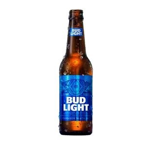 Bud Light 15pk