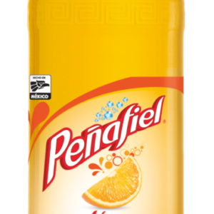 PENAFIEL APPLE 600ML