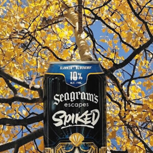 SEAGRAM SLAMMIN BLUEBERRY 24oz